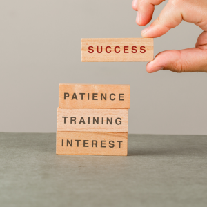 SOCIETE MOOSHTIK - BUSINESS CONSULTING