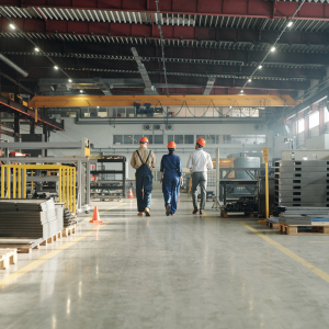 SOCIETE MOOSHTIK - BUSINESS CONSULTING